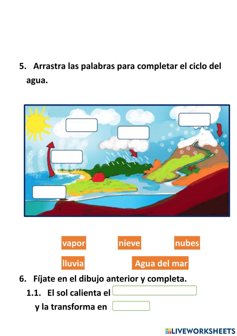 repaso tema 7 cc.ss. 1º