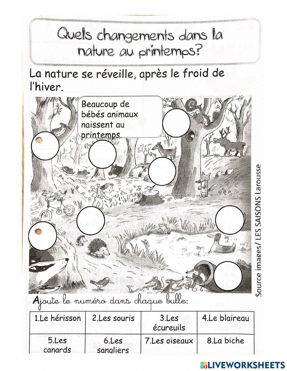 Changements du printemps