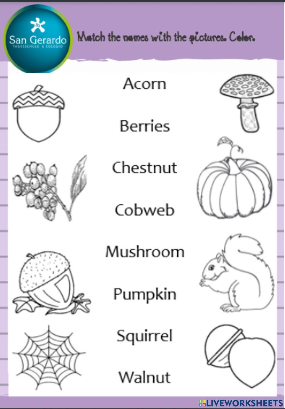 Fall vocabulary