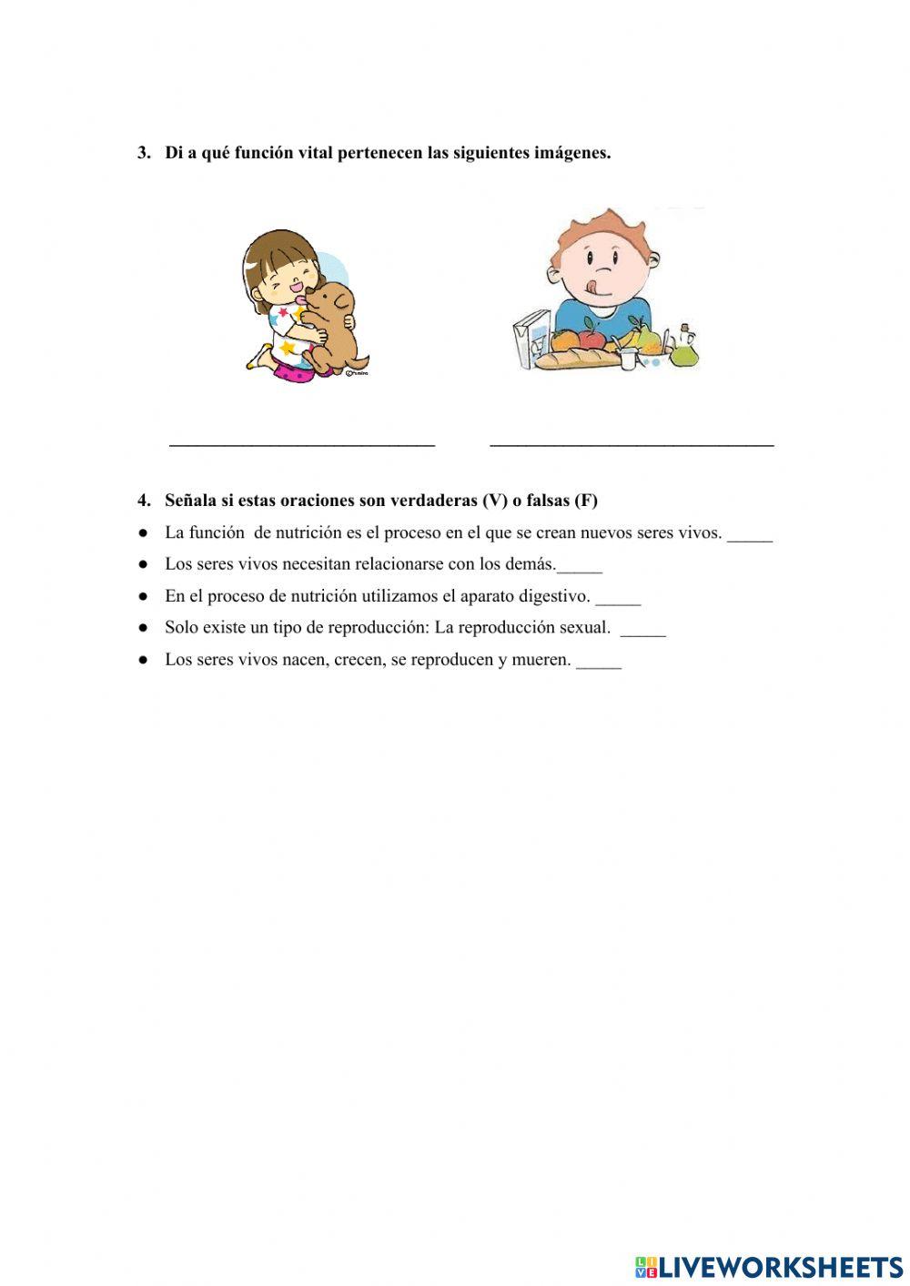 Función de reproducción