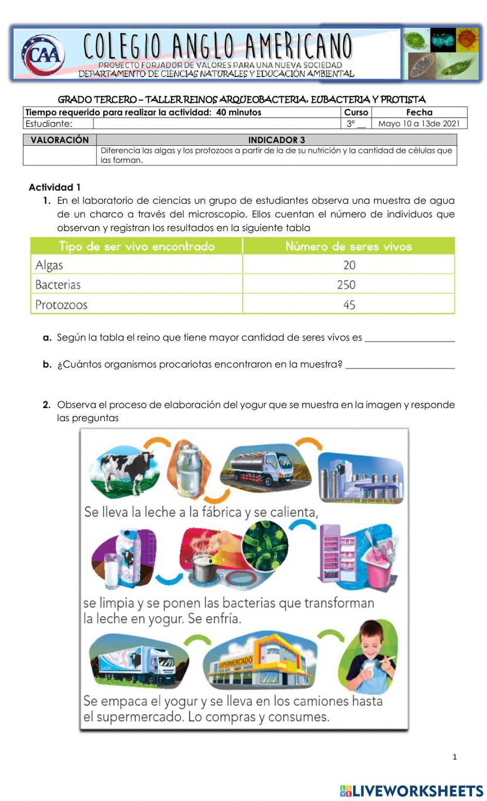 Taller Reinos Arqueobavcteria, Eubacteria y Protista