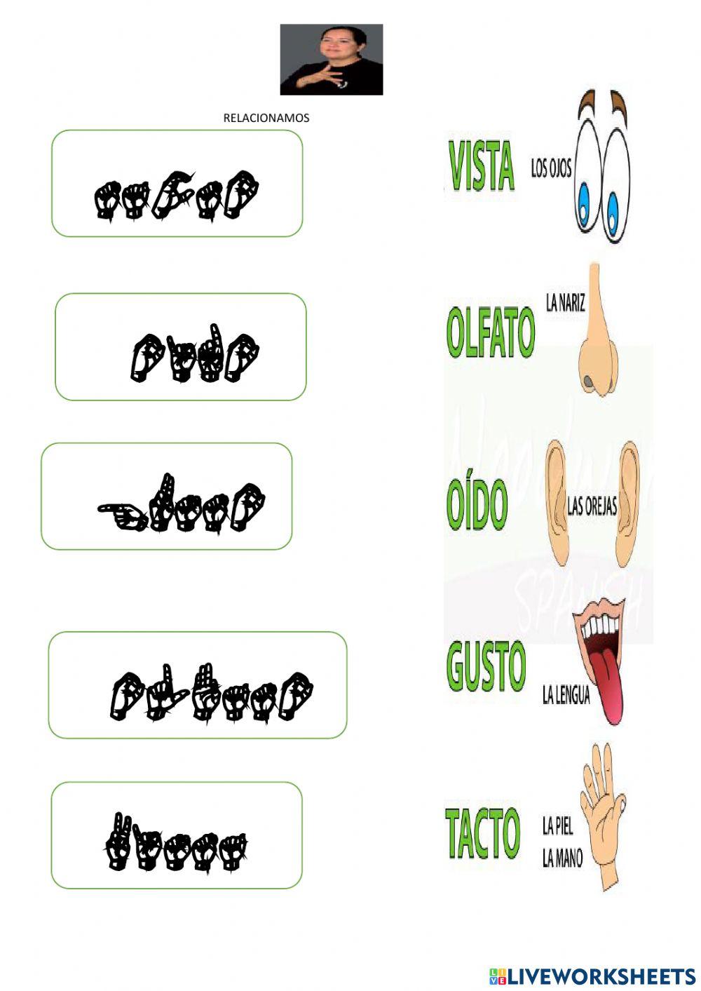 Evaluacion ciencias naturales y sociales