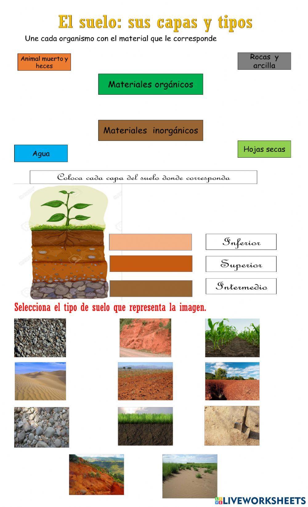 El suelo: sus capas y tipos El suelo: sus capas y tipos