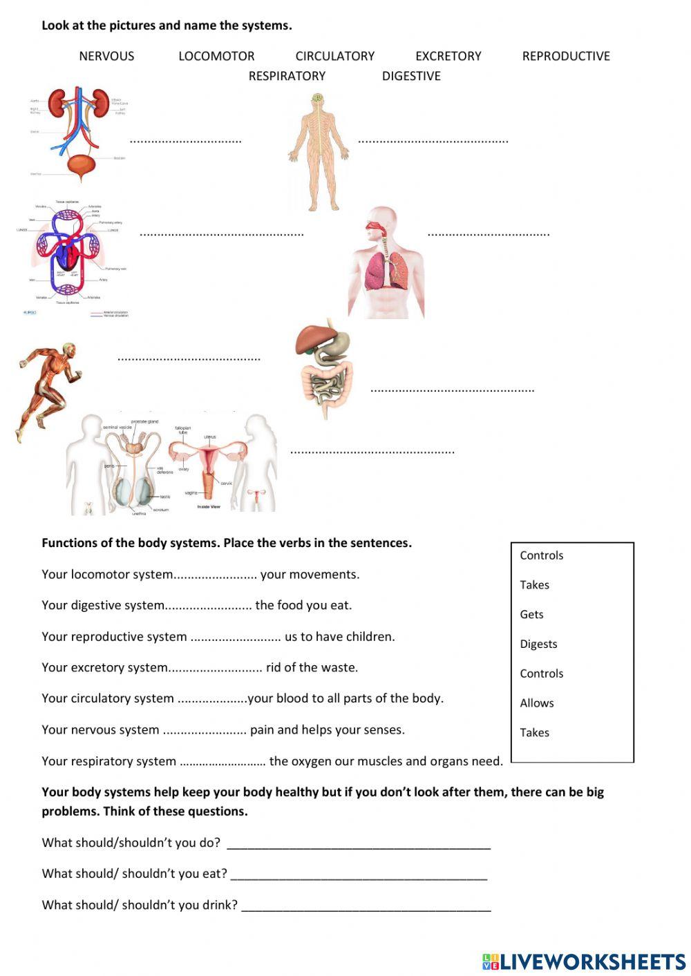 Intro to BODY SYSTEMS