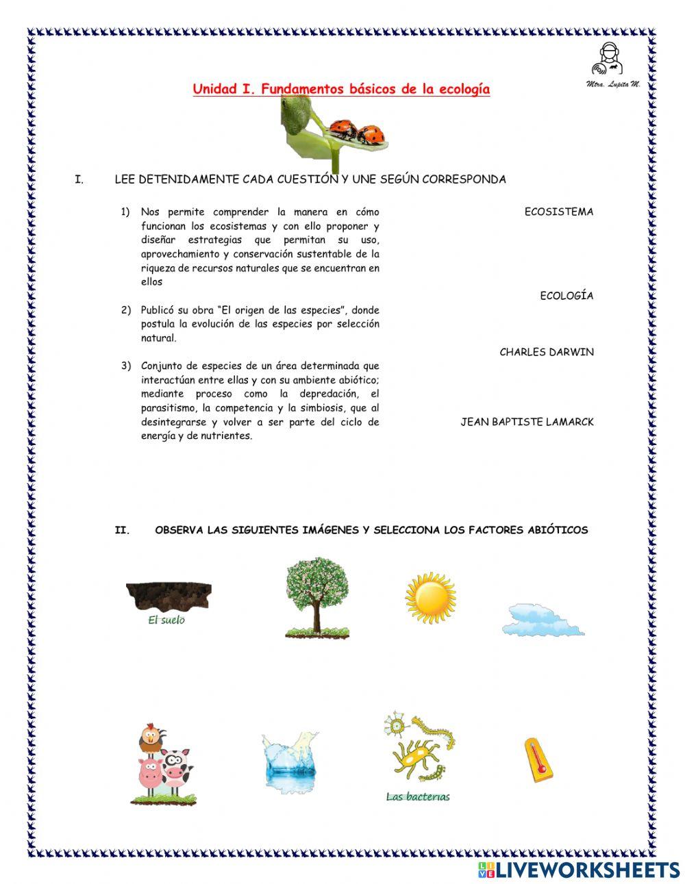 Fundamentos básicos de la ecología
