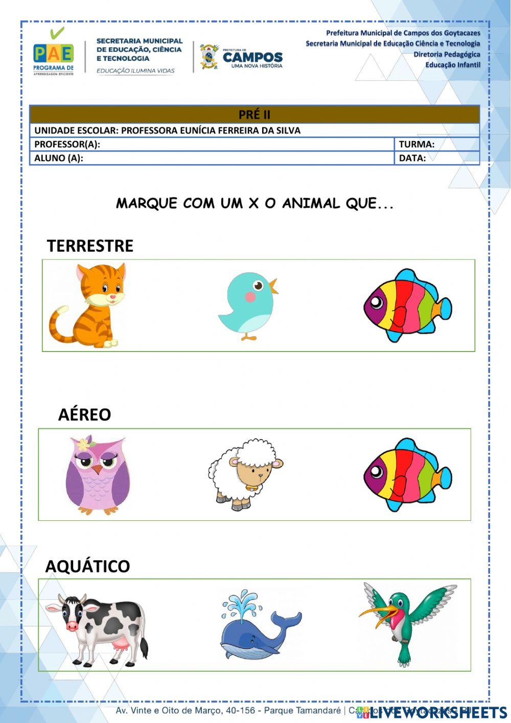 Animais Terrestres Aquáticos E Aéreos Educação Infantil Retoedu Animais Terrestres Aquáticos E Aéreos Educação Infantil Retoedu