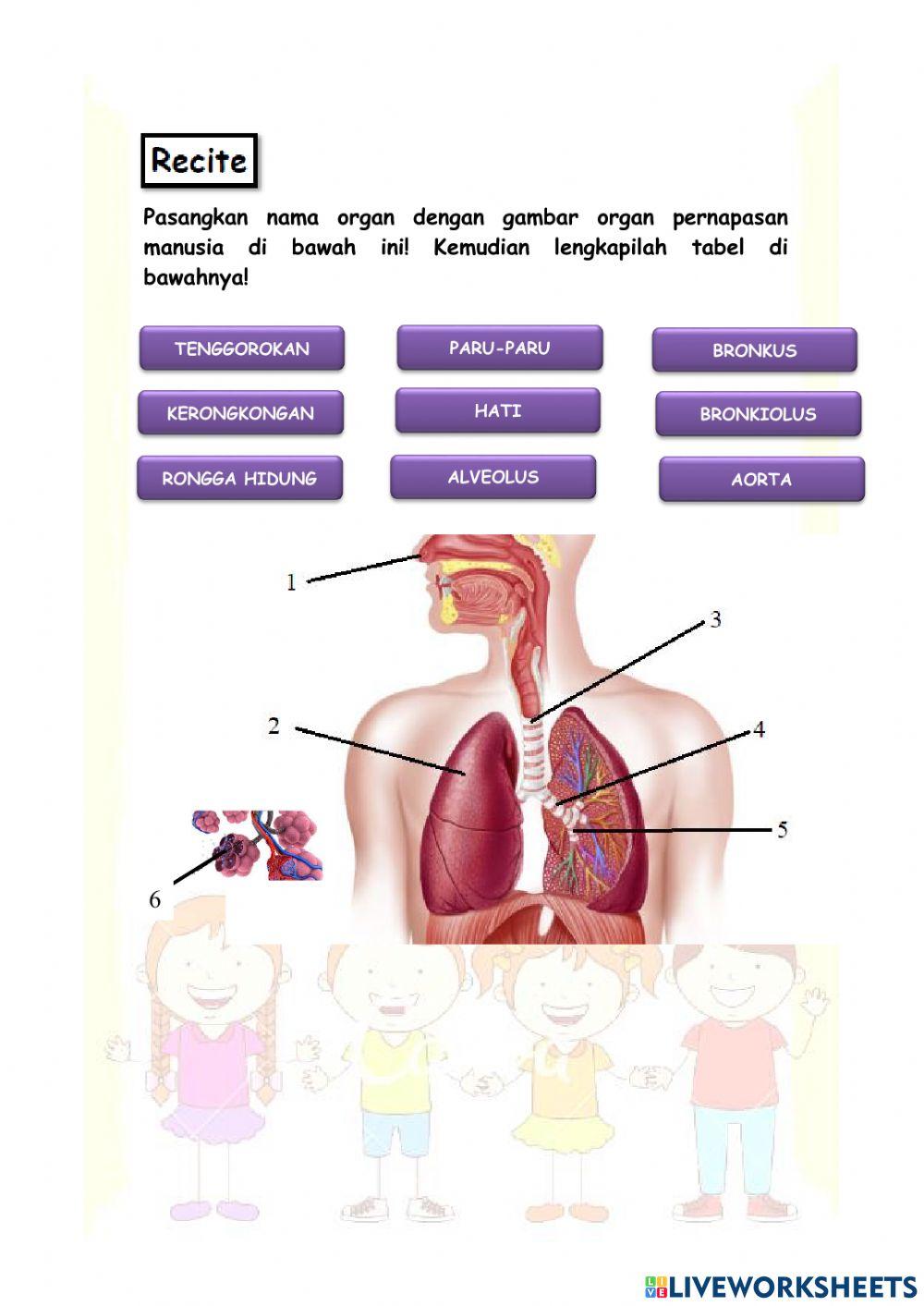 LKPD Kelas 5 Tema 2 Subtema 1 Pb 2