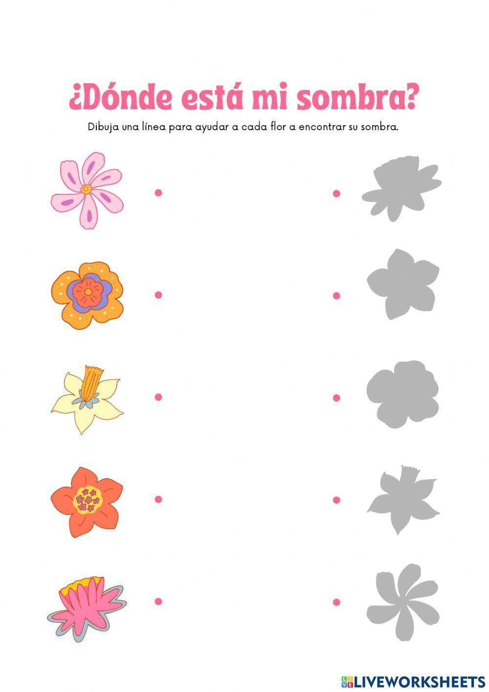 Encuentra la sombra de la figura