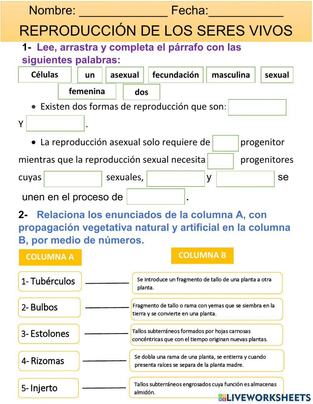 Reproducción de los seres vivos