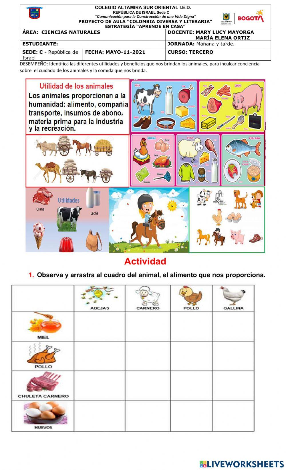 Taller Ciencias naturales