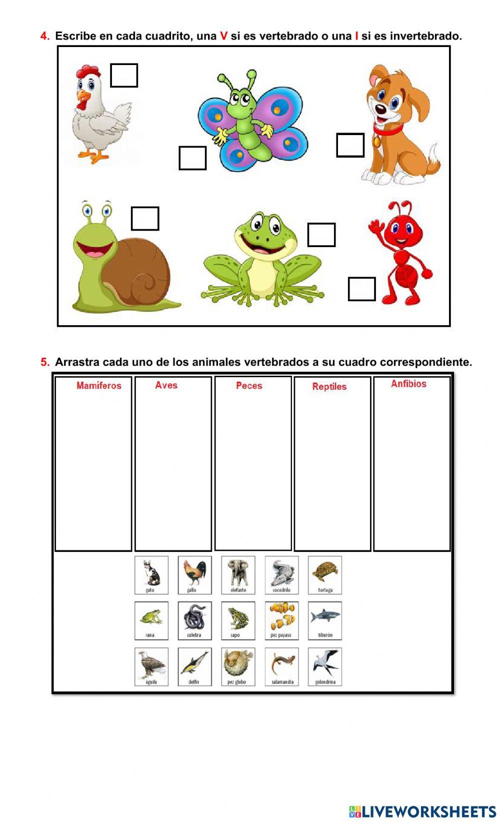 Taller Ciencias naturales
