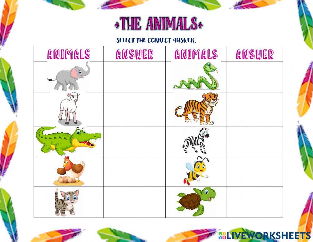 Animals