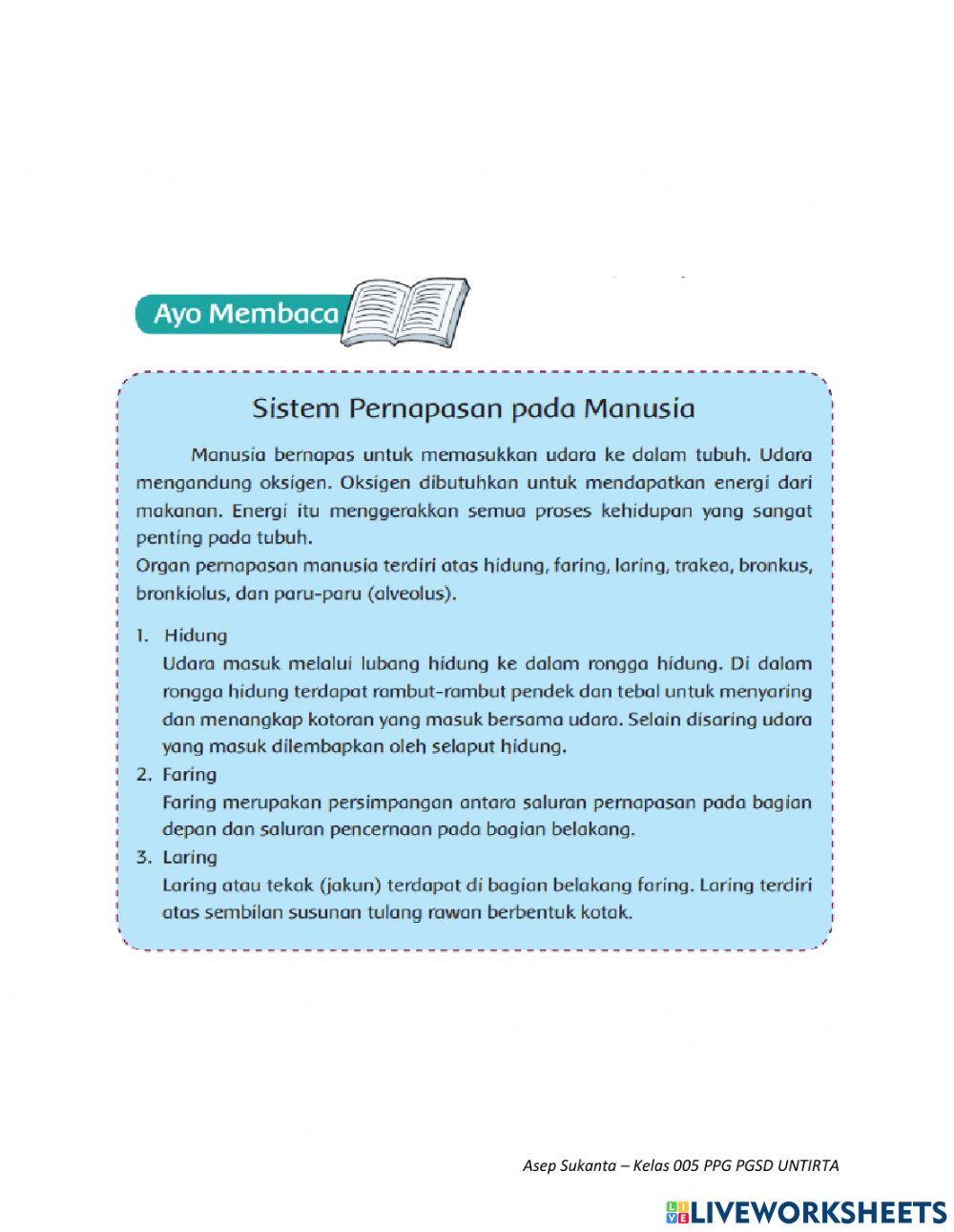 Sistem pernapasan manusia