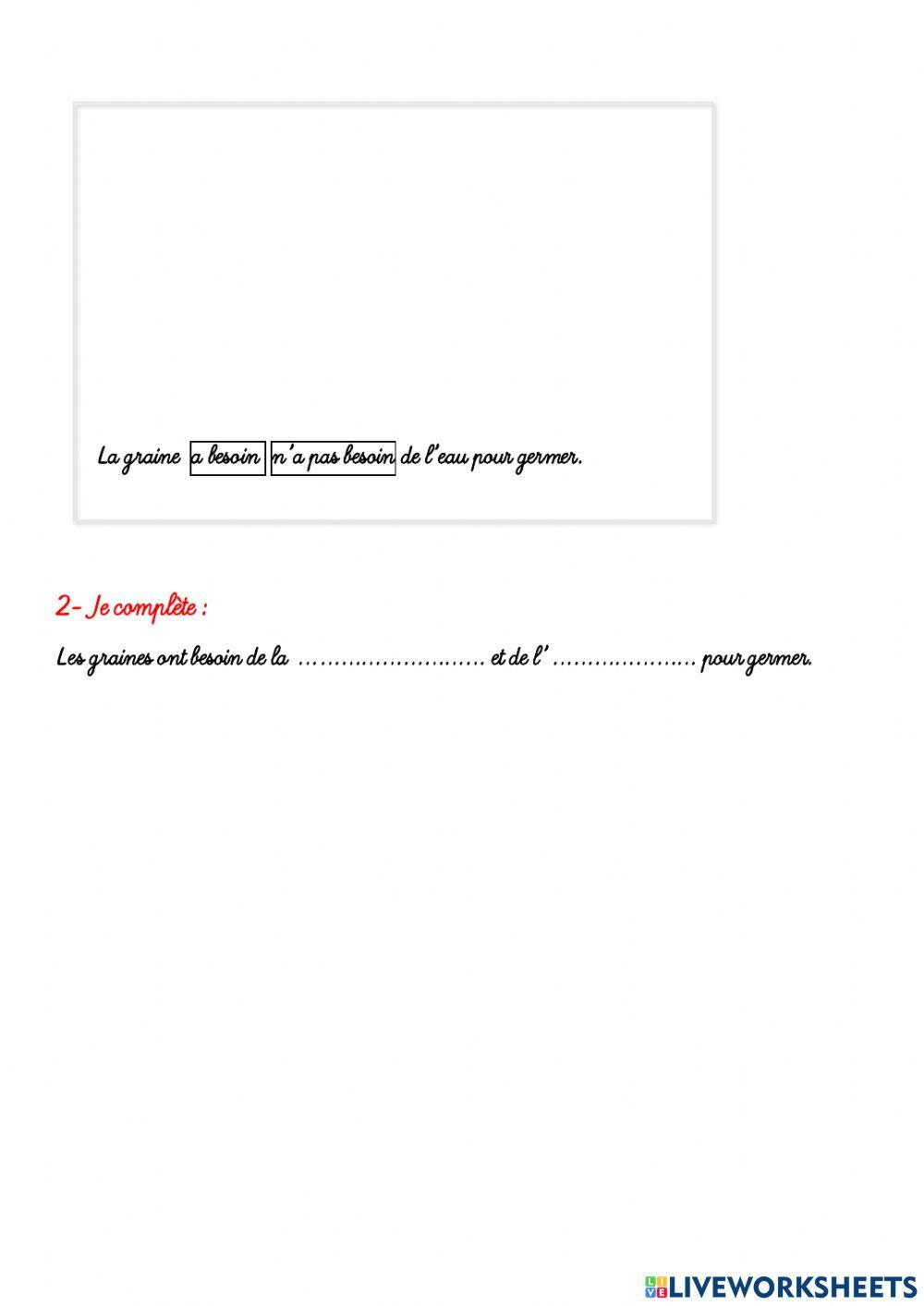Conditions de germination d'une graine de haricot