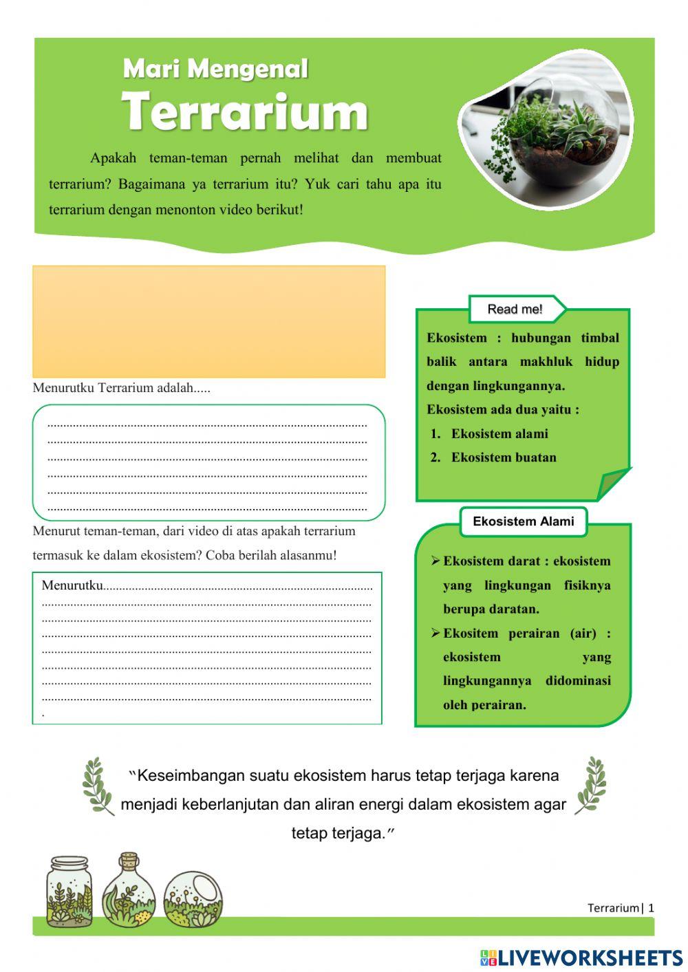 Mari Mengenal Terrarium