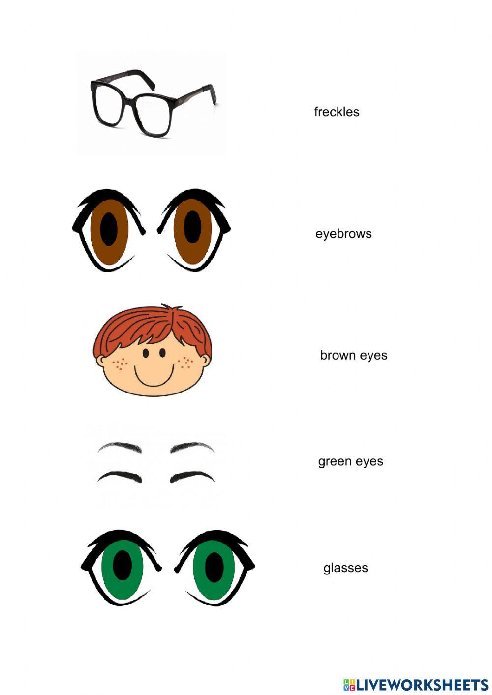 Physical appearance II 2º