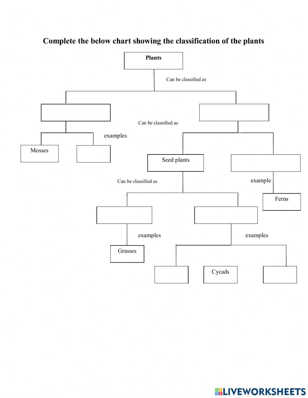 Classification of the Plants worksheet | Live Worksheets