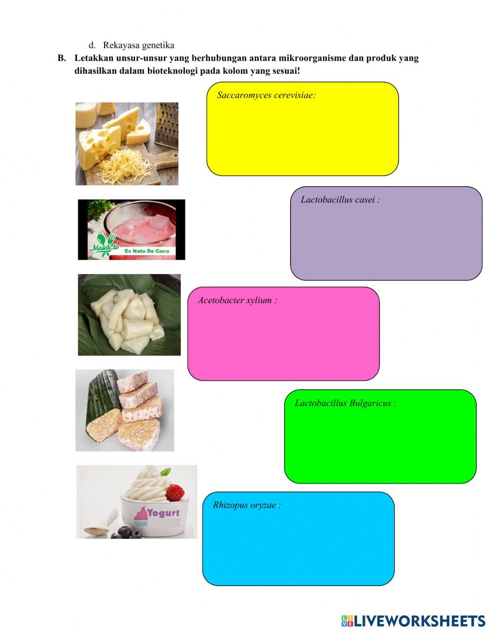 Lkpd ipa bioteknologi