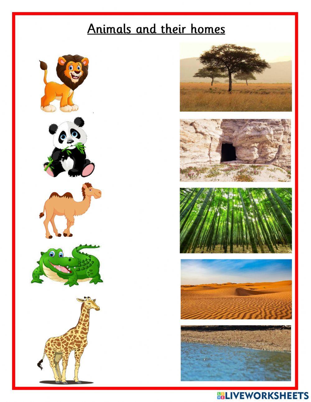 Animals and habitat