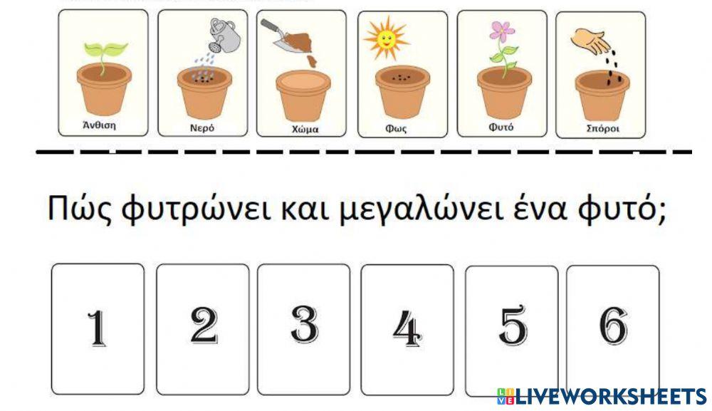 Η αναπτυξη του φυτου