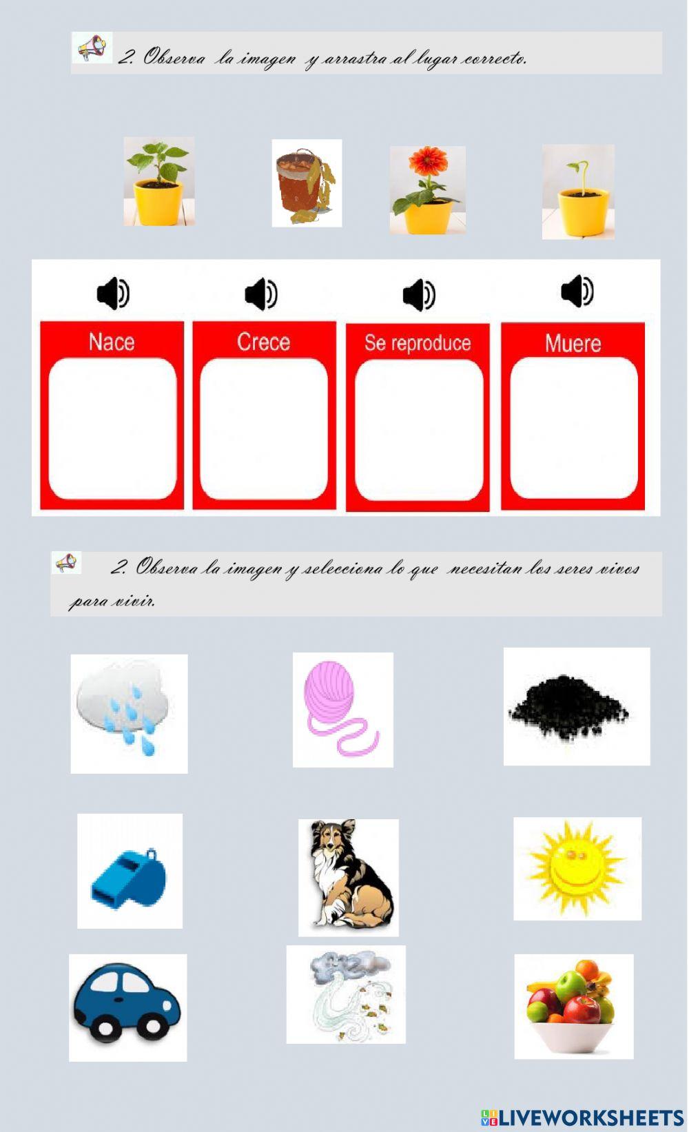 Los seres vivosy seres inerte