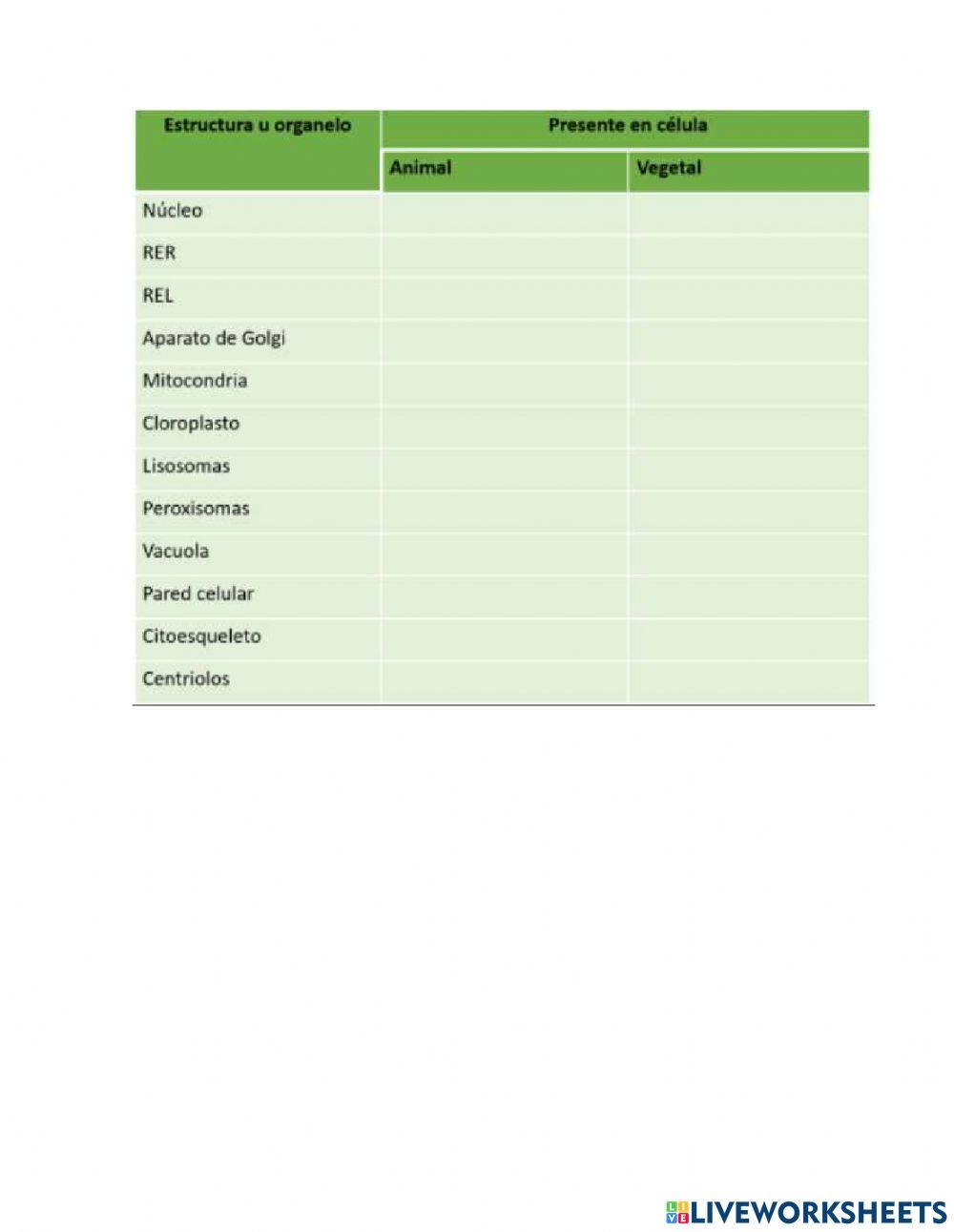 Estructuras celulares