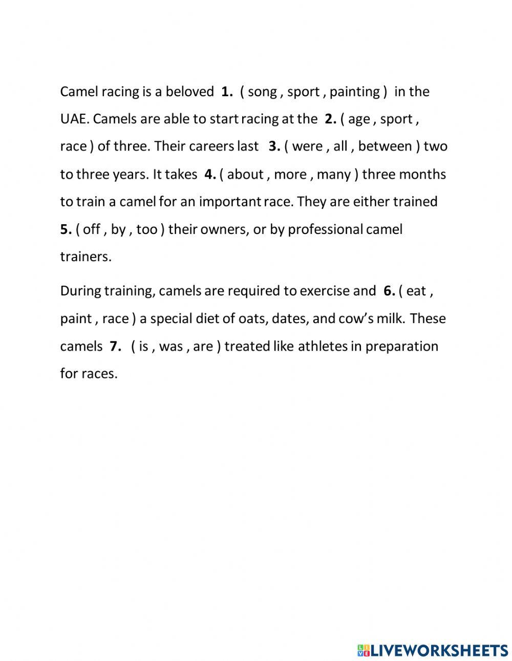 G12 Term 3 SEN Skills Check 1