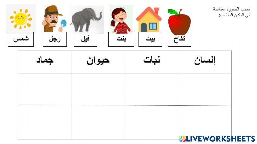 أنوا ع الاسم