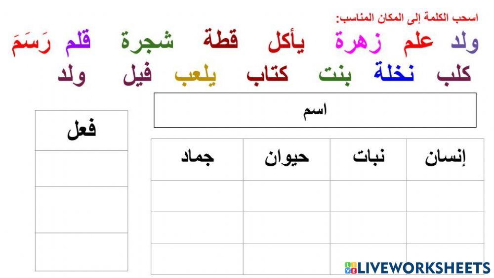 أنواع الكلمة