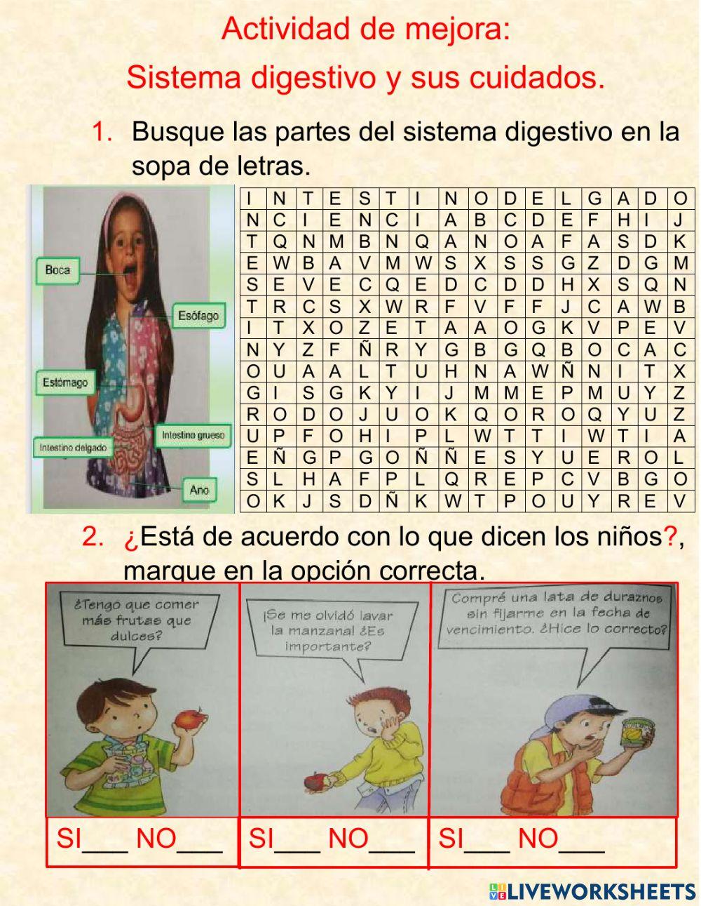 Actividad de mejora sis digestivo