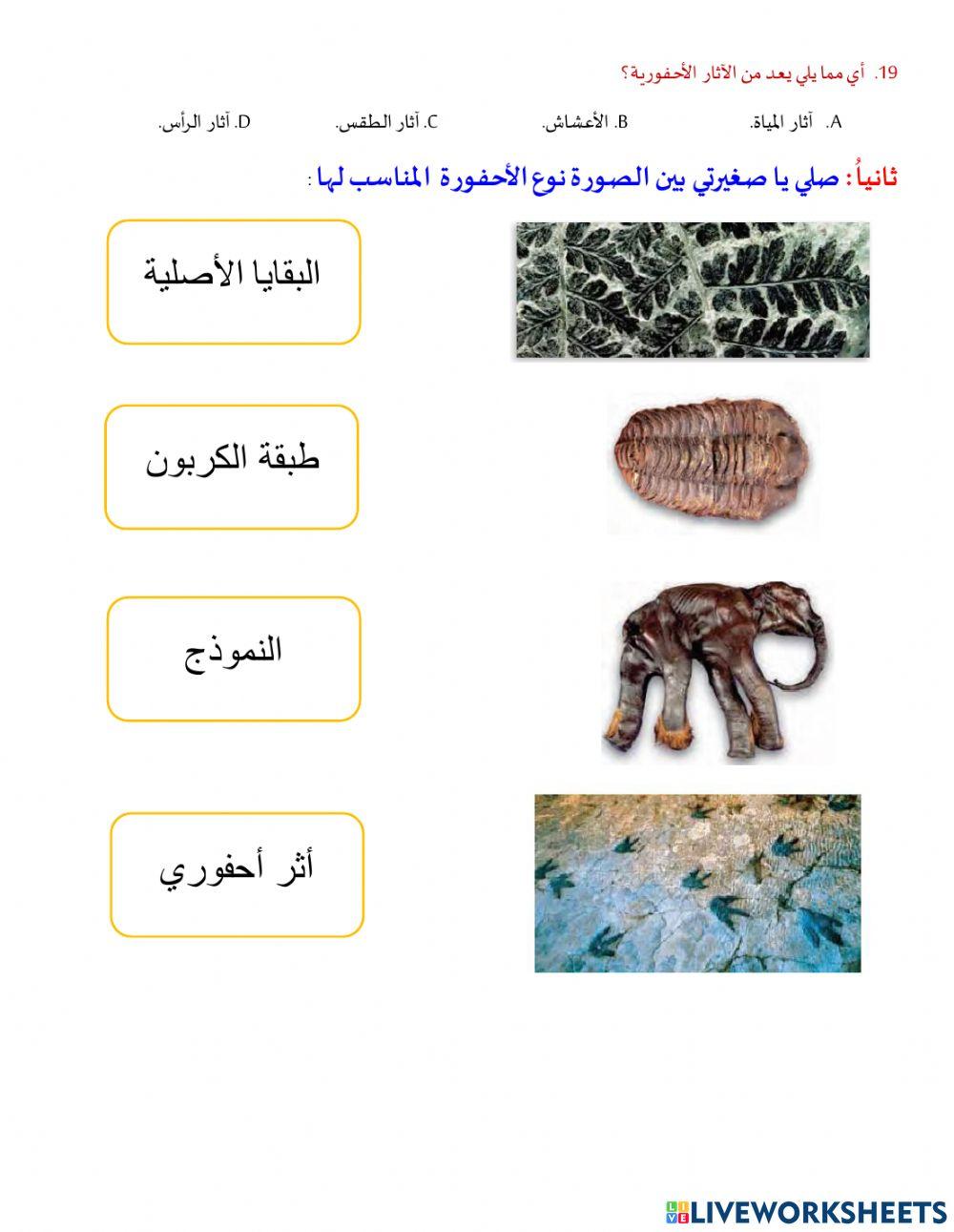 مراجعة للوحدة العاشرة أدلة على ماضي الأرض