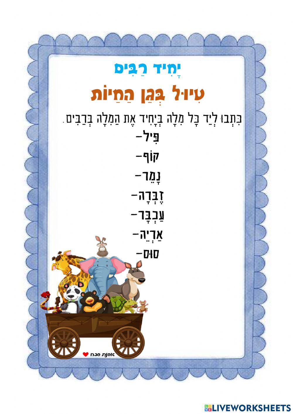 יחיד-רבים