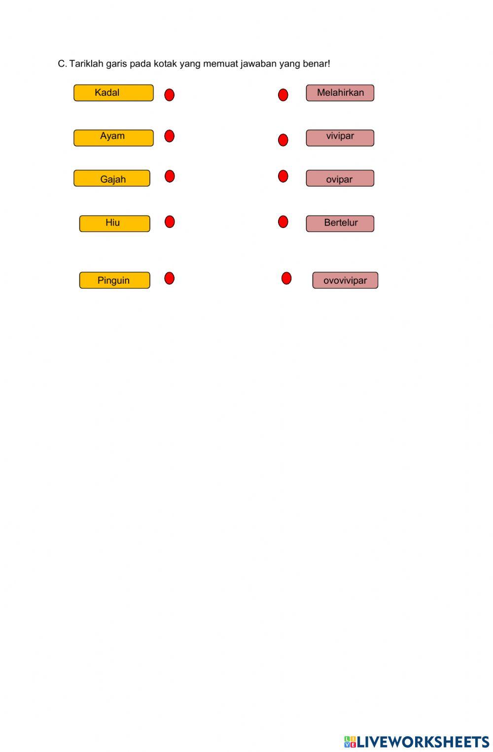 Perkembangbiakan hewan