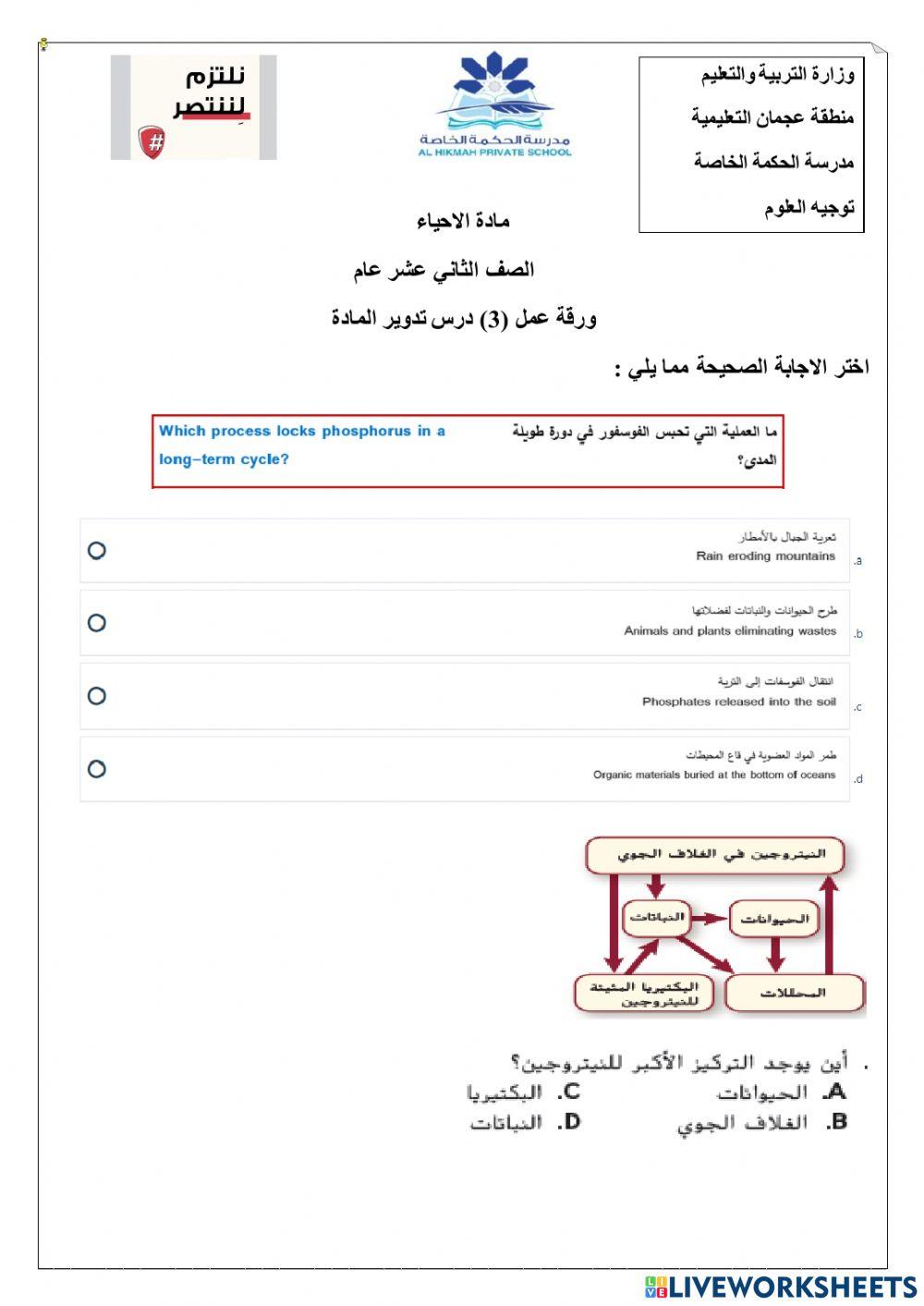 ورقة عمل تفاعلية