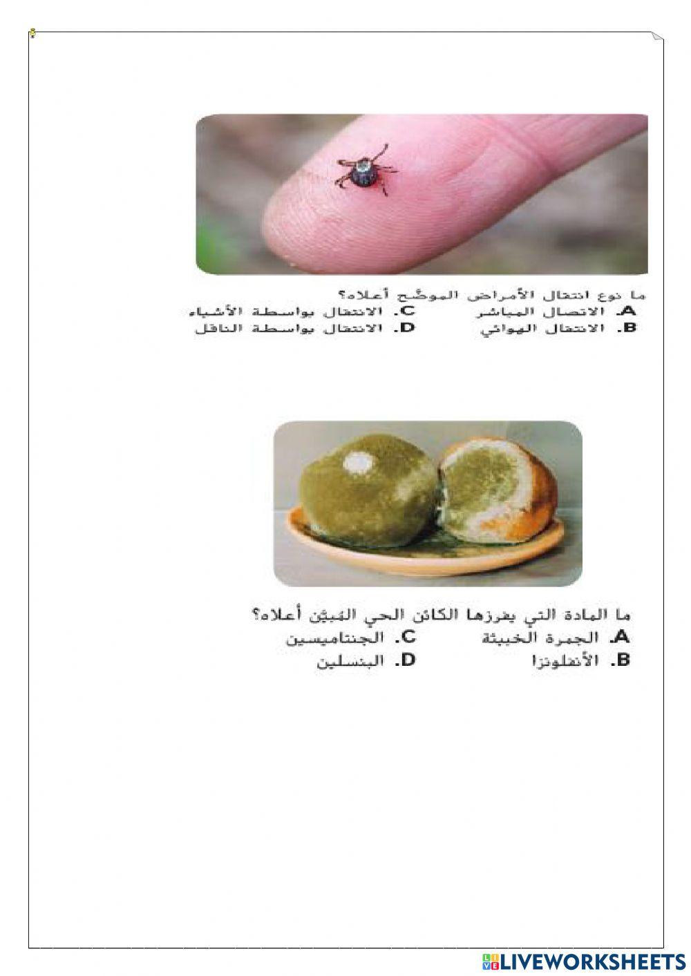 ورقة عمل تفاعلية