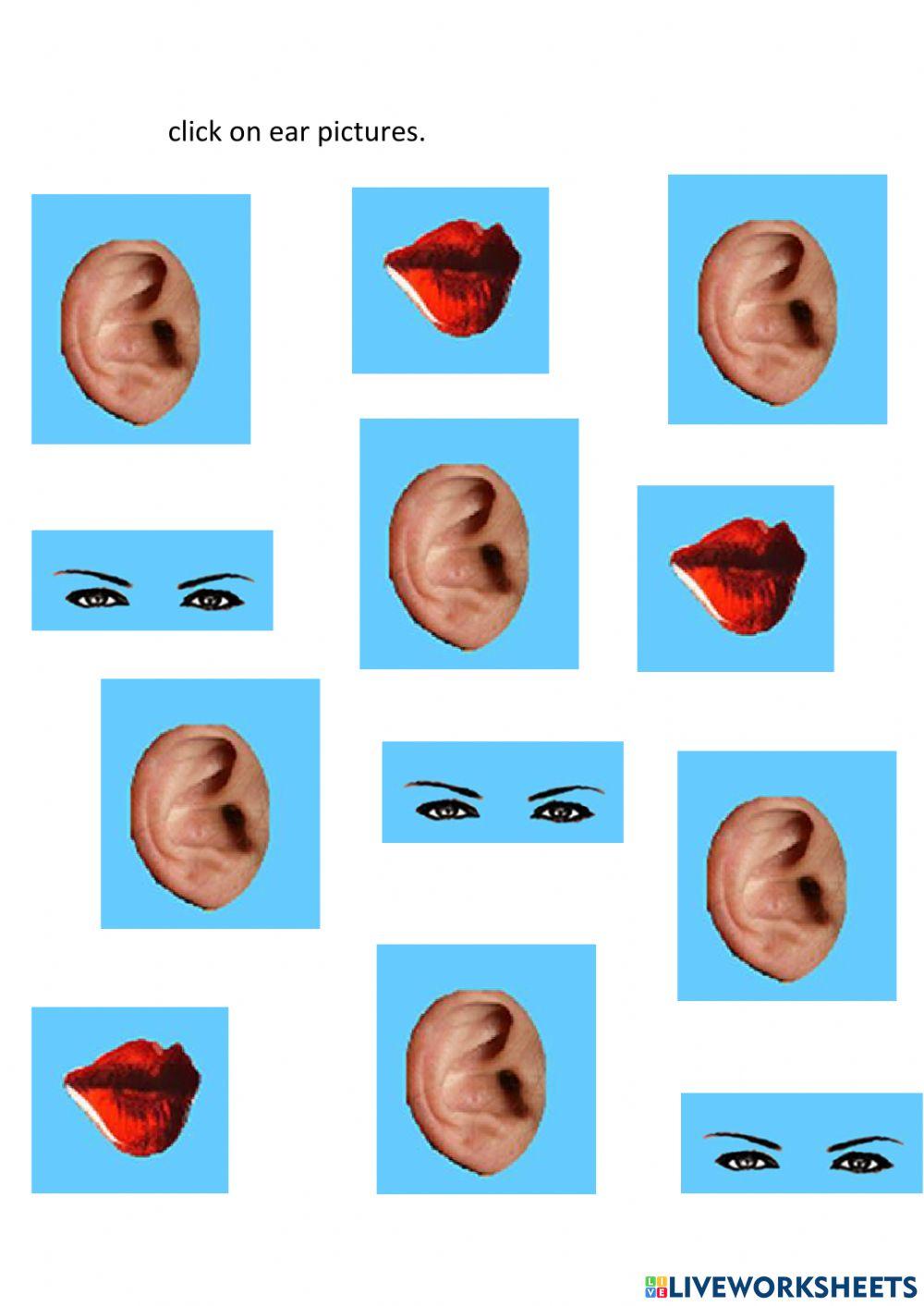 Click on ears pictures