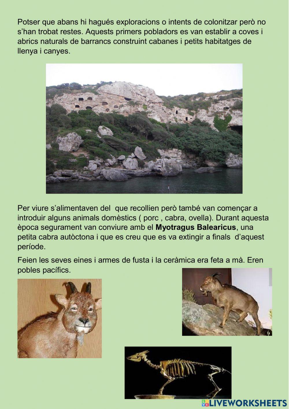 La prehistoria a Menorca. Pretalaiotic