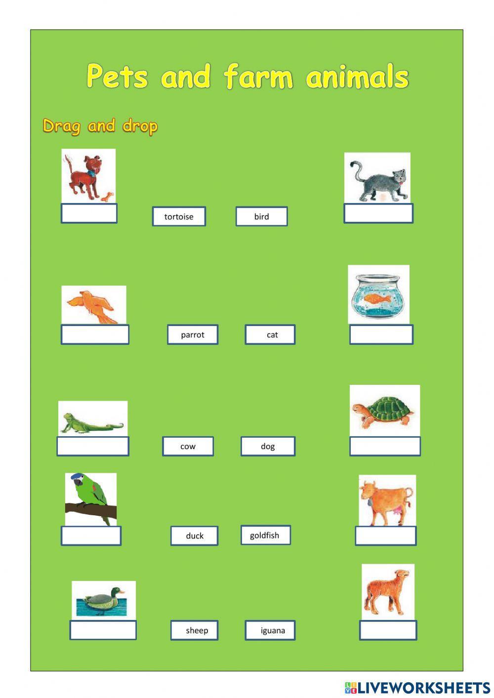 Pets and Farm Animals Pets and Farm Animals