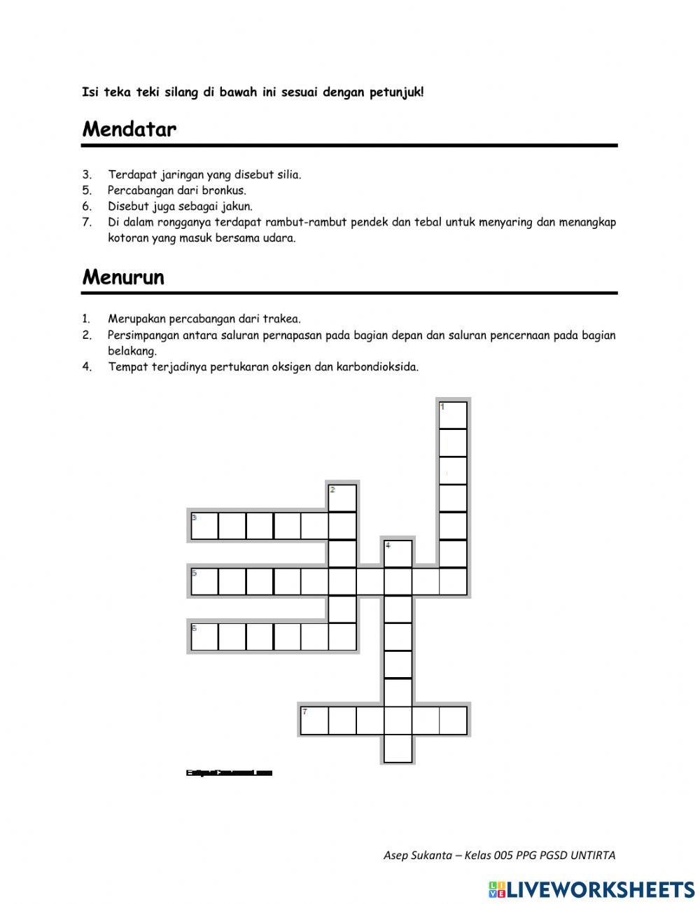 Kegiatan 1 sistem pencernaan manusia