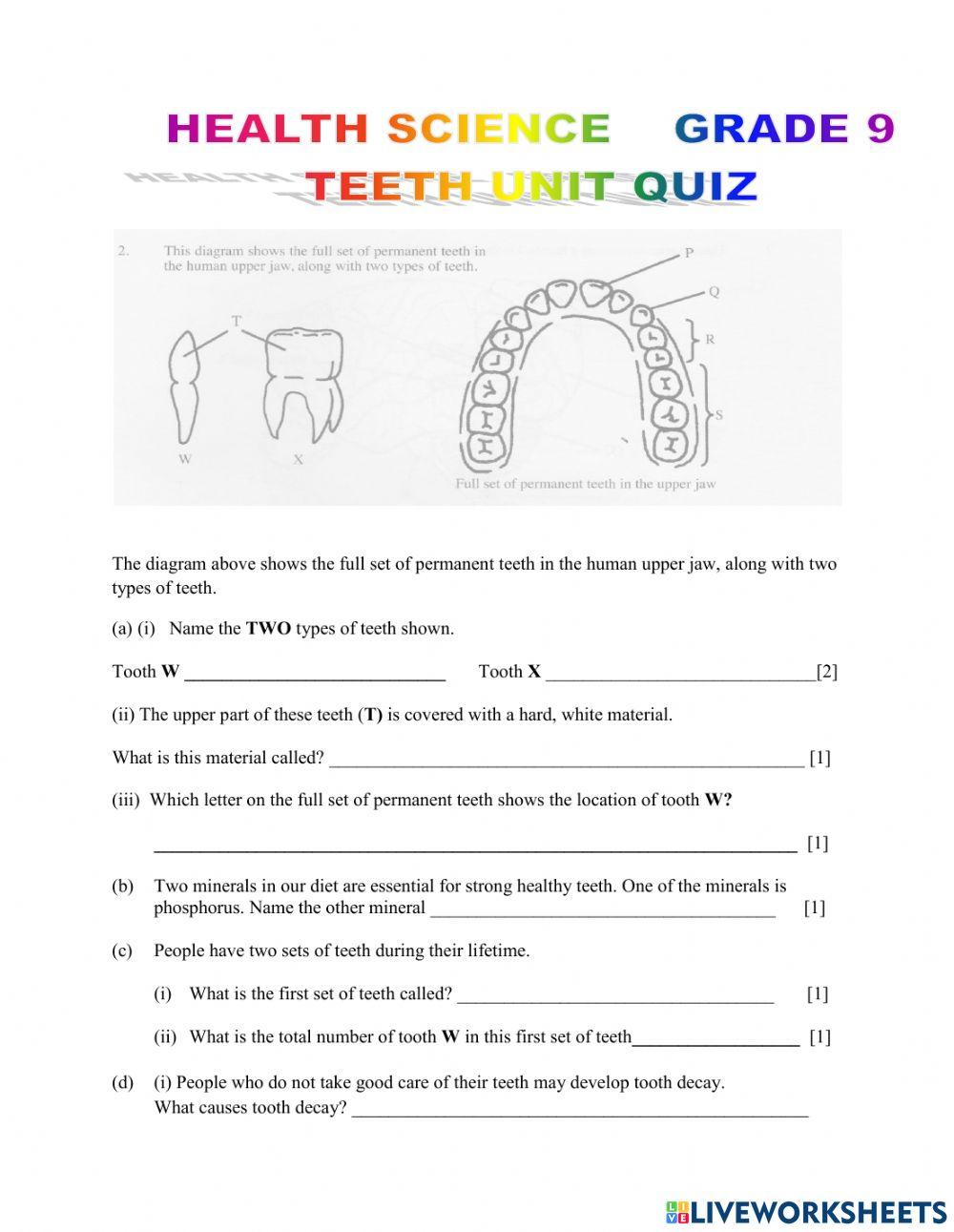 Health science unit quiz - teeth