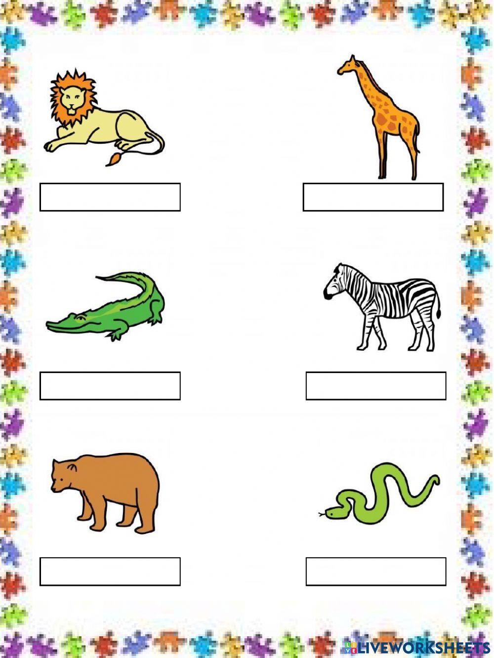 ¿conoces a estos animales?