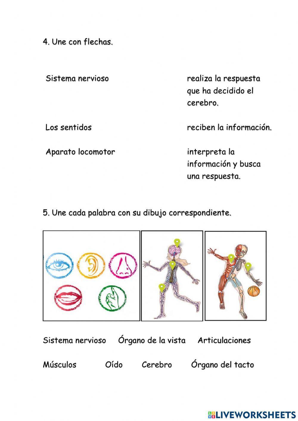 La función de relación