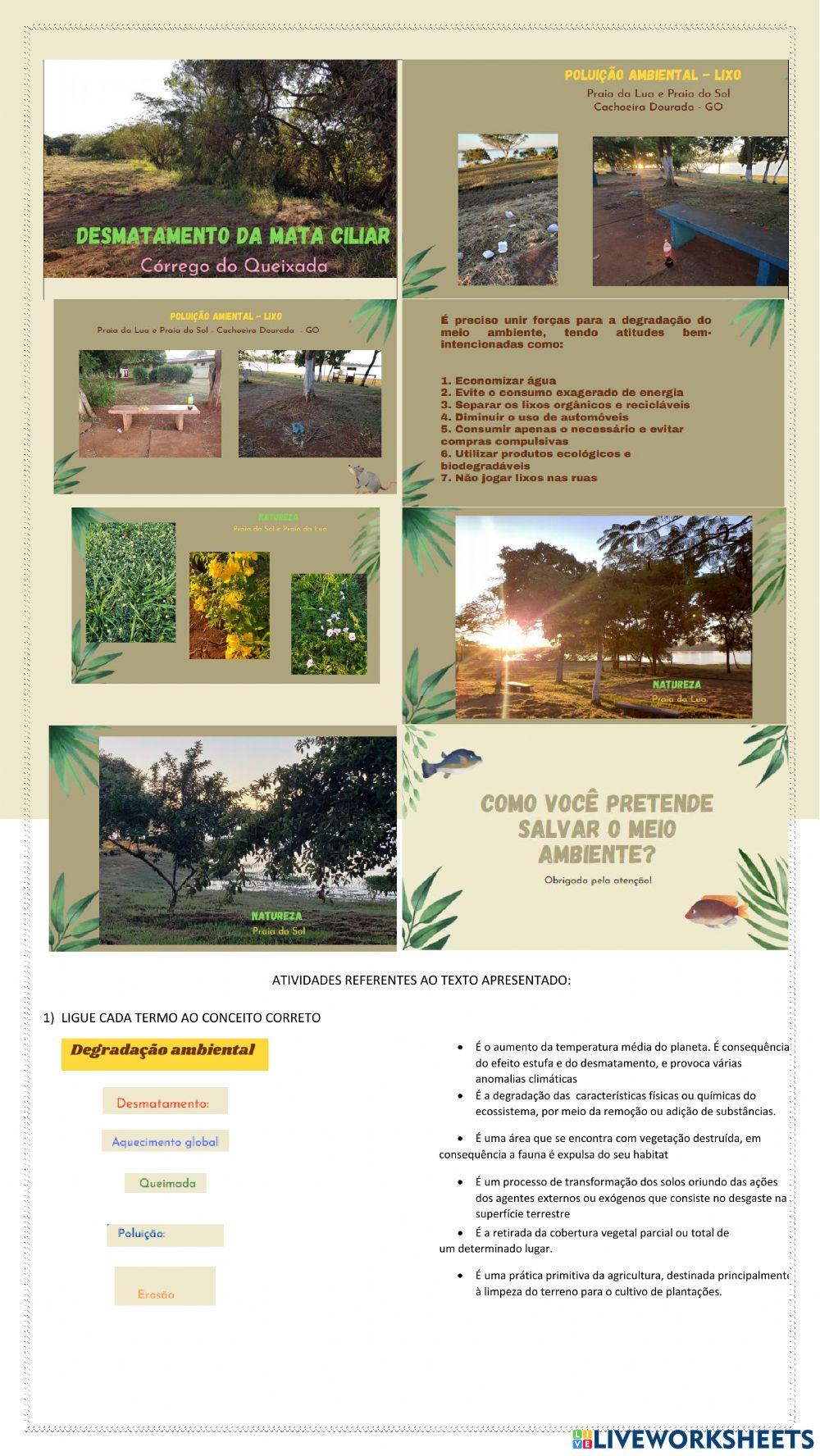 Degradação ao meio ambiente- Cachoeira Dourada - Go