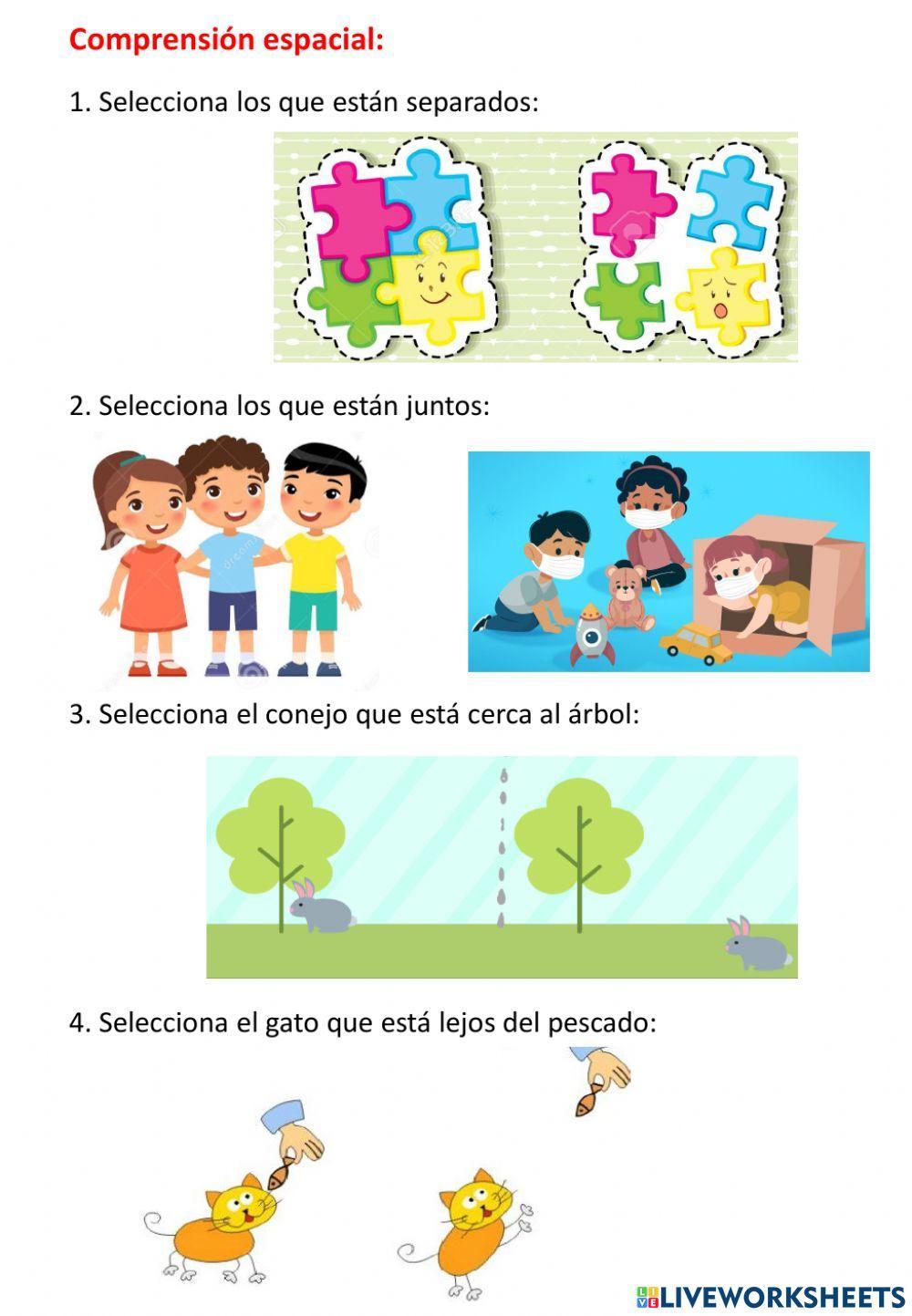 Comprensión espacial