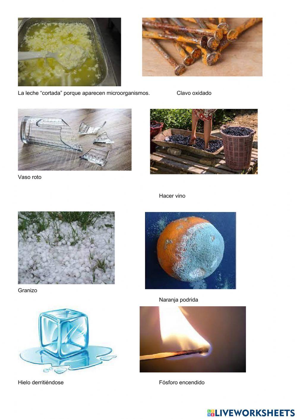 Act 10 Transformaciones Químicas