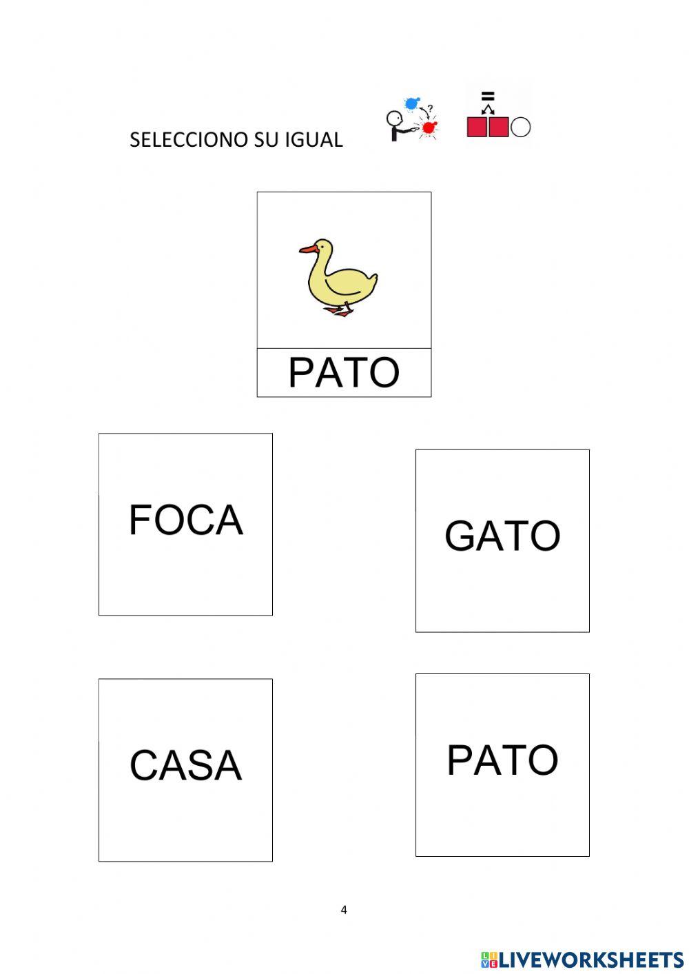 Lectoescritura global