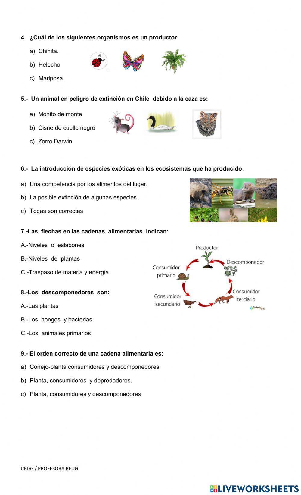 Unidad 4  Los seres vivos y los ecosistemas