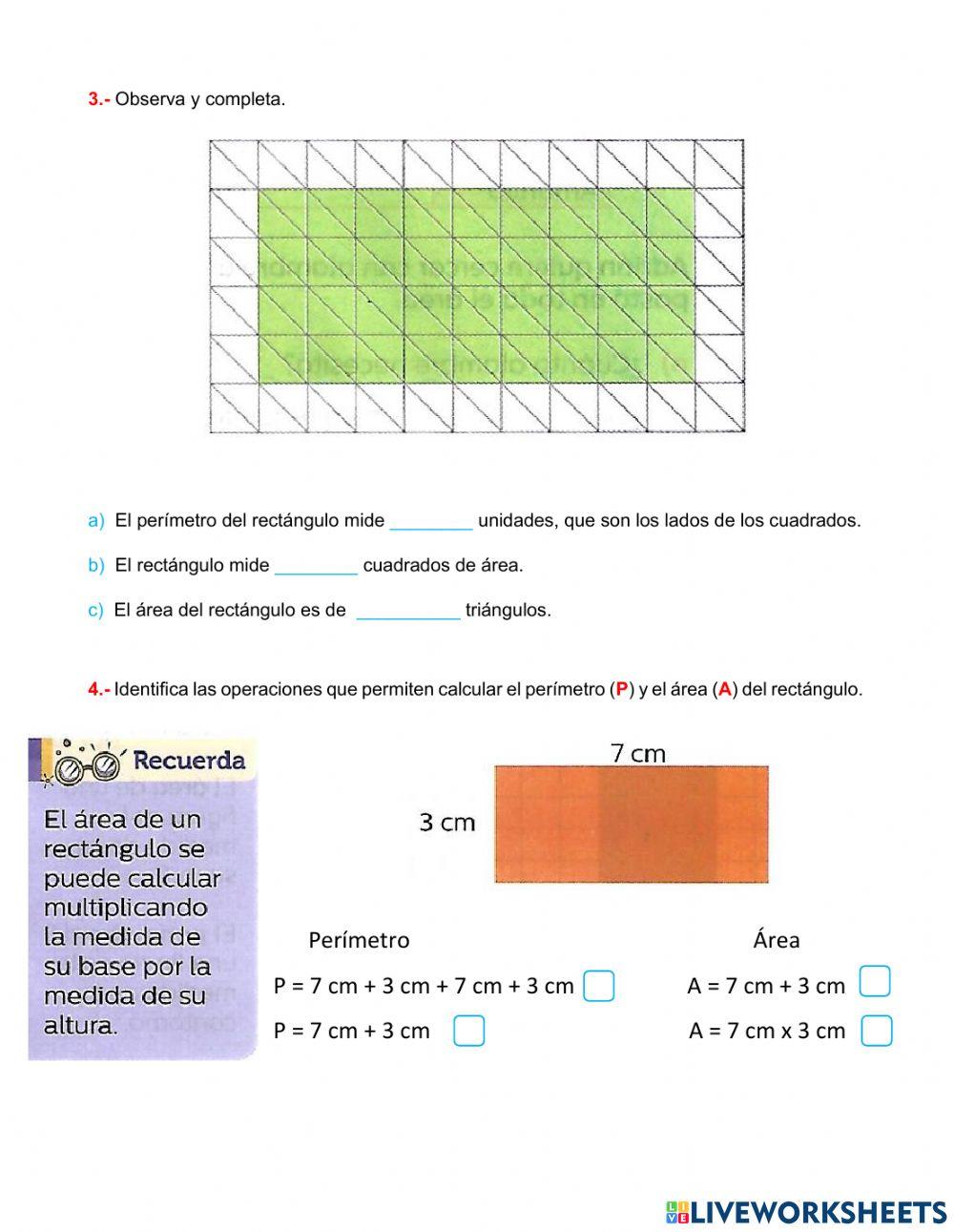 Perímetro y área del rectángulo