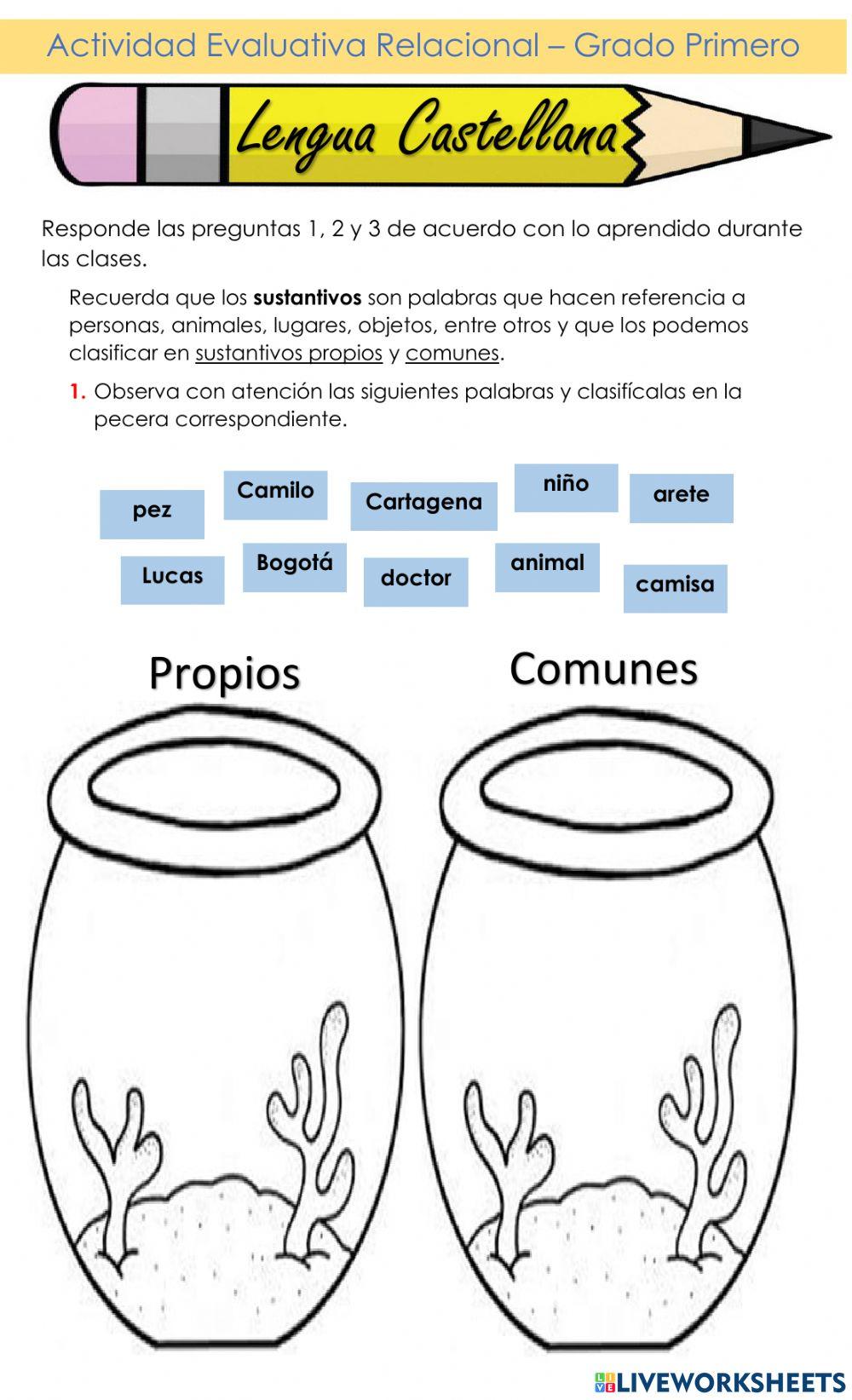 Actividad Evaluativa