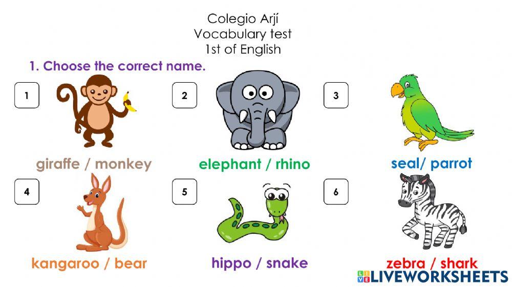 Voc. test: I like monkeys!!